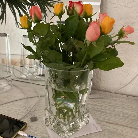 Apartamento Picasso Walk Cosy Charm In Heart Of Old Town Ac And Wifi *